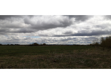 IMG 20210505 121411.jpg