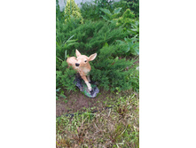 ������������ �������� �� 200 ��� �������