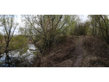 IMG 20210501 150836.jpg