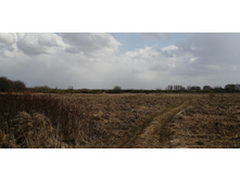 IMG 20210424 123849.jpg