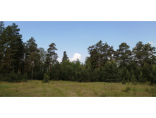 IMG 20210529 101145.jpg