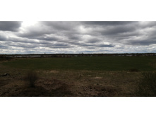 IMG 20210505 122545.jpg