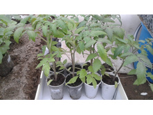 �������� �� 10 ���