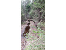 IMG 20210503 130554.jpg