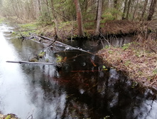 IMG 20210503 124218.jpg