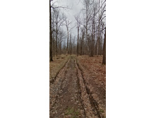 IMG 20210501 120710.jpg