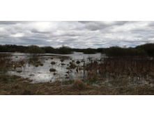 IMG 20210505 130222.jpg