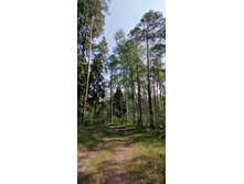 IMG 20210529 103145.jpg