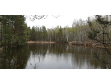 IMG 20210504 125557.jpg