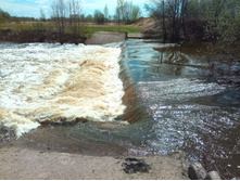 20210508 � �� 1104.jpg