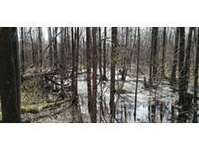 IMG 20210506 091841.jpg