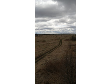 IMG 20210505 122633.jpg