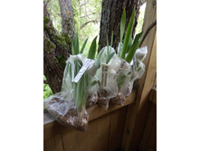 ������� ����������� ��������� ������ 2021���