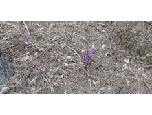 IMG 20210502 125852.jpg