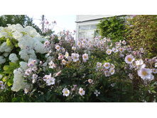 ������� ��������. ���� 80-120� � ����������� �� ������� �����.