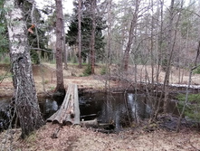 IMG 20210502 131236.jpg