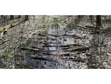 IMG 20210506 094936.jpg