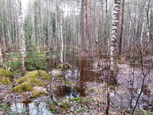 IMG 20210503 120839.jpg