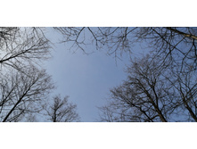 IMG 20210506 093403.jpg