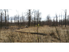 IMG 20210501 114756.jpg