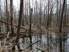 IMG 20210506 092334.jpg