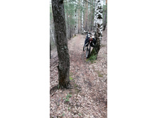 IMG 20210504 121116.jpg