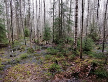 IMG 20210503 130753.jpg