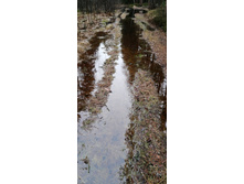 IMG 20210503 120226.jpg