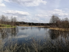 IMG 20210506 125342.jpg