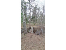 IMG 20210502 131226.jpg