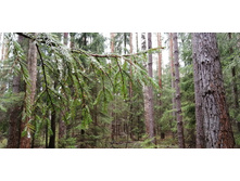 IMG 20210503 131121.jpg