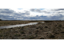 IMG 20210505 133825.jpg