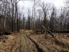 IMG 20210501 120314.jpg