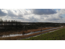 IMG 20210501 102054.jpg