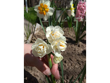 IMG 20180513 125841.jpg