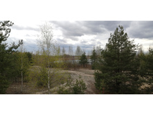 IMG 20210501 134514.jpg