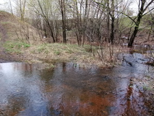 IMG 20210501 094018.jpg