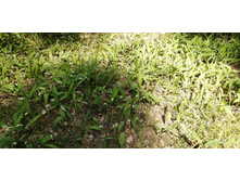 IMG 20210529 111119.jpg