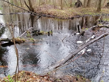 IMG 20210503 124532.jpg