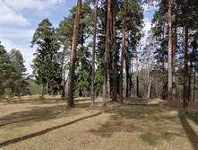 IMG 20210502 131922.jpg