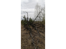 IMG 20210504 143459.jpg