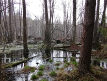 IMG 20210503 135448.jpg