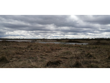 IMG 20210505 115105.jpg