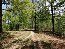 IMG 20210516 103106.jpg