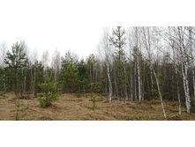 IMG 20210503 133022.jpg