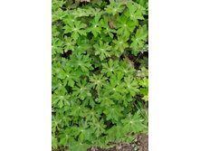 IMG 20210531 223750.jpg