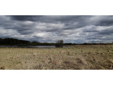 IMG 20210505 130510.jpg