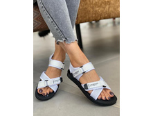 60924a64e1c37 500x500.19606384ee67be1.jpg