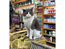 ��� ��� �� ���أ���?