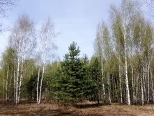 IMG 20210506 105256.jpg